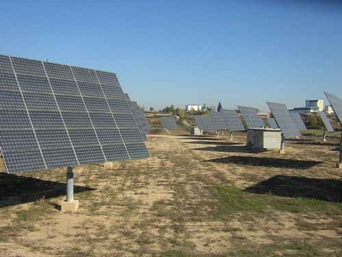 Agrivoltaics being practiced in a solar farm