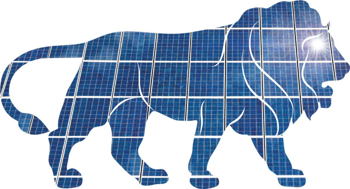 Government Bodies Associated With Solar In India