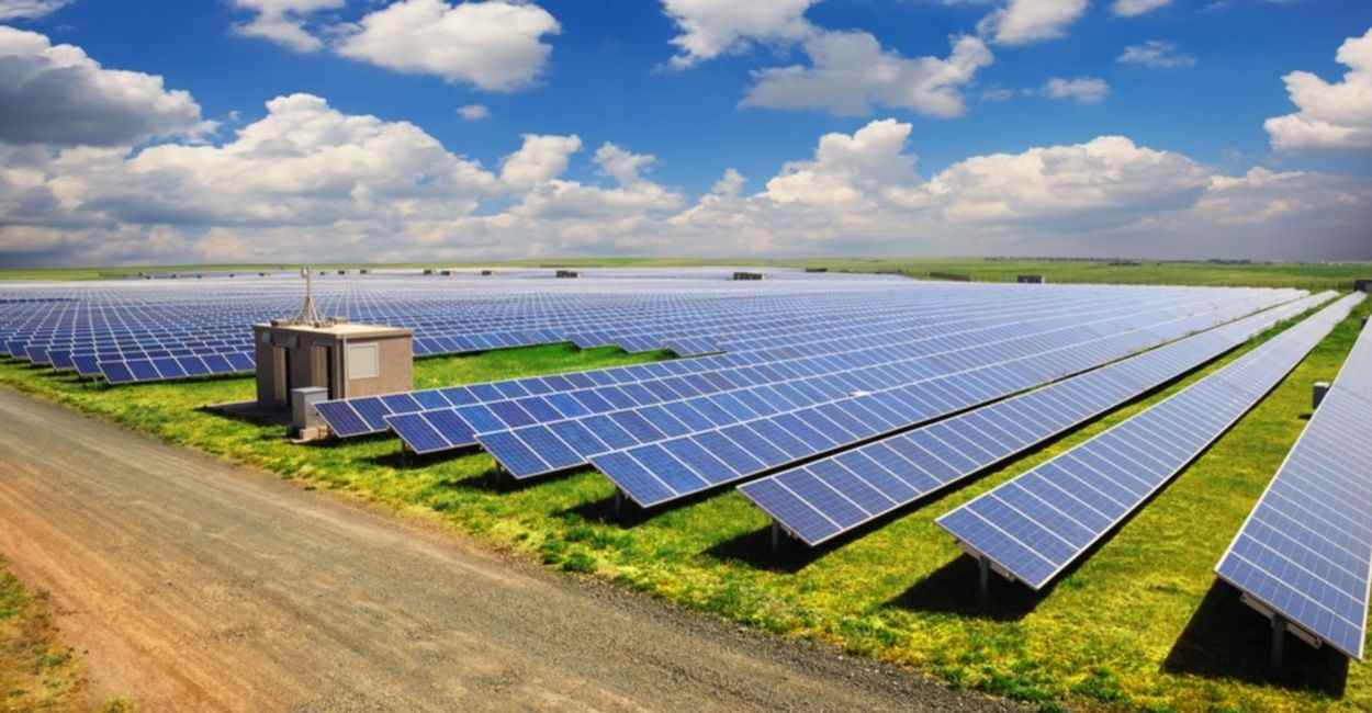 Solar Farm Panel Installation: Everything You Need To Know